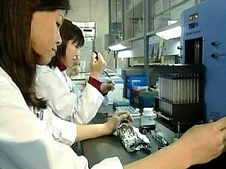 Японские ученые первыми в мире вырастили структурно полноценные капиллярные кровеносные сосуды из стволовых клеток человеческого эмбриона. Об этом в среду сообщает японская газета Yomiuri