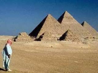 В Египте состоятся лошадиные скачки вокруг пирамид