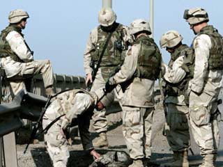 653 американских военнослужащих в Ираке заражены лейшманиозом
