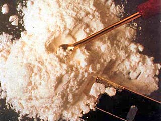 Власти Нидерландов приняли решение не задерживать наркокурьеров, везущих при себе менее трех килограммов кокаина