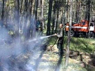 В Курганской области локализированы два основных очага лесных пожаров