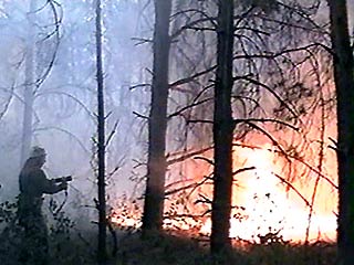 В Свердловской области пожар охватил 19 тысяч гектаров леса