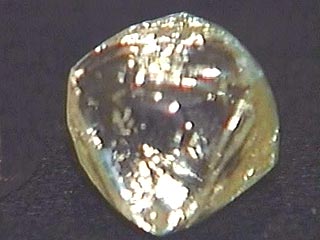 "Кровавый" алмаз размером с грецкий орех нелегально продан в Бельгии за 17 млн долларов