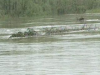 В Кемеровской области в реке утонули шесть человек