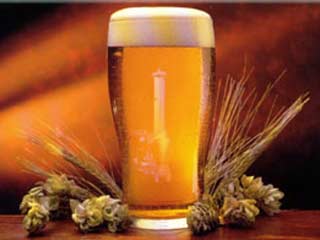 Европейские эксперты утверждают, что лучшее в мире пшеничное пиво делают на Украине