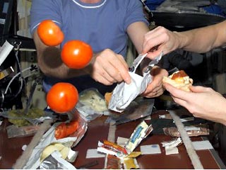 Во время полета на Марс россияне будут выращивать на корабле салат, перец и помидоры