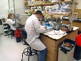 В московском Институте иммунологии создана первая в России вакцина против СПИДа, которая прошла доклинические испытания на животных и готова для клинического испытания на людях