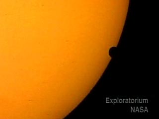 Сегодня на Солнце появится большая черная точка, эффект движущейся точки создает перемещение планеты Венера по диску Солнца
