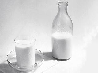 В коровьем молоке нашли следы генетически измененных растений