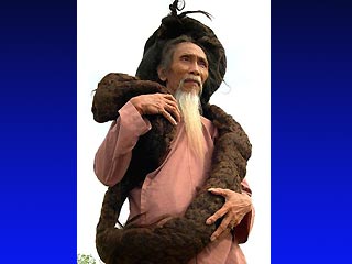 67-летний Тран Ван Хай вырастил за 30 лет волосы длиной 6 метров