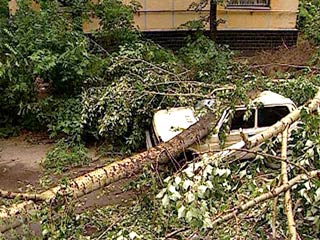 В результате урагана, обрушившегося в минувшую пятницу на южные районы Иркутской области, погибли четыре человека