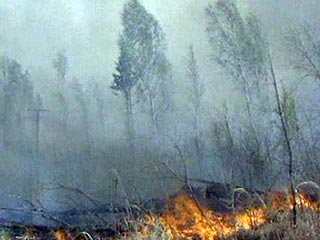 На севере Свердловской области из-за пожаров объявлена чрезвычайная ситуация