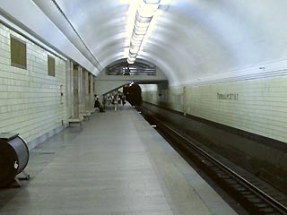 На станции метро "Университет" человек попал под поезд. Движение на Сокольнической линии остановлено