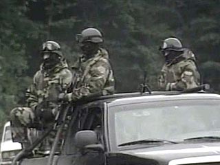 Внутренние войска МВД Грузии переходят в подчинение министерства обороны страны