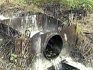 В Валдае в питьевую воду попали канализационные стоки