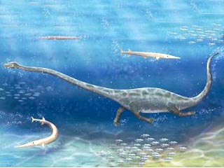 В Китае найдены останки морского динозавра, жившего 230 млн лет назад