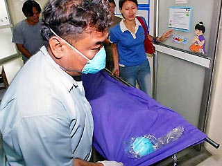 В Таиланде от "птичьего гриппа" в воскресенье скончалась девятилетняя девочка, что вызвало опасения по поводу новой вспышки этой болезни в Юго-Восточной Азии