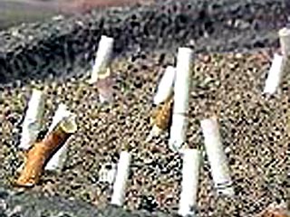 Запрет рекламы табака и табачных изделий обернется потерями в первую очередь для российских предприятий, развивающих производство без привлечения иностранного капитала и не выпускающих сигареты всемирно известных марок
