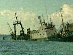 Российский рыболовный сейнер РСХ-2397 перевернулся и затонул возле островов Малой Курильской гряды. Кораблекрушение произошло 8 октября в 4 часа ночи по местному времени