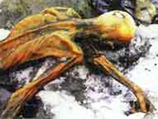 Симон известен тем, что в 1991 году в альпийской долине Эцталь в горах австрийского Тироля на высоте три тысячи метров обнаружил мумию человека, возраст которого ученые оценили в 5,3 тысячи лет и которого назвали "Эци" в честь места находки