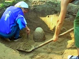 В Орловской области обнаружены окаменевшие останки морских губок, живших более 200 млн лет назад