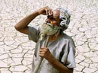 Индийские фермеры отказались от пестицидов и травят вредителей "Кока-колой"