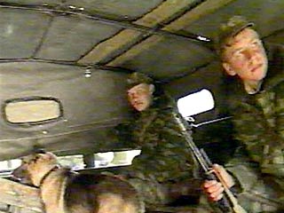 Российские пограничники открыли огонь по 13 вьетнамцам-нелегалам