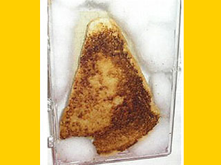 Д. Дайсер утверждает, что когда она надкусила бутерброд, то увидела на куске хлеба проступившее изображение, напоминающее лицо и взгляд человеческих глаз, устремленный на нее