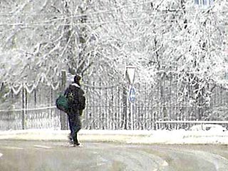 В четверг в Москве ожидается метель, а в пятницу - снегопад, сообщили в Росгидромете