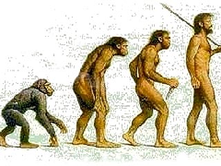 Человек произошел от обезьяны благодаря способности бегать и большой заднице