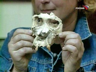 Окаменелые останки, найденные близ испанского города Барселоны, принадлежат, вероятно, последнему виду обезьян, от которого произошли как крупные человекообразные обезьяны, так и современный человек