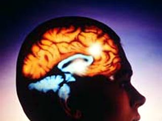 Сканирование мозга поможет разоблачать лжецов