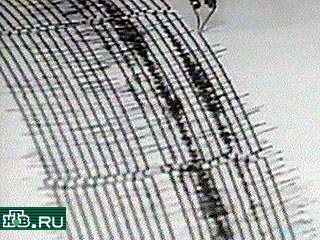 Как сообщает телекомпания НТВ со ссылкой на "Интерфакс", землетрясение силой 6 баллов по шкале Рихтера зарегистрировано сегодня в Сальвадоре