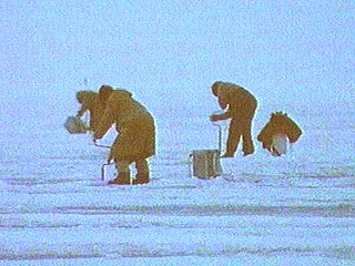 В Финском заливе 20 рыбаков сняты с отколовшейся льдины
