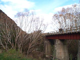 В Новой Зеландии украли 30-метровый мост