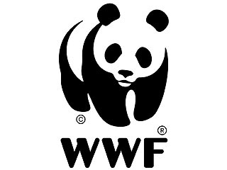 Всемирный фонд дикой природы (World Wildlife Fund) опубликовал список из десяти вещей, которые не стоит покупать или дарить на Рождество