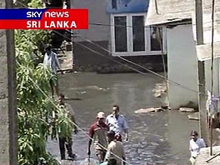 На Шри-Ланке при цунами погибли 22 японских туриста
