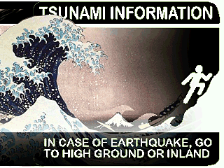 Цунами - это огромные морские волны, связанные главным образом с подводными землетрясениями...