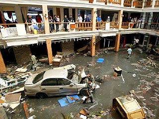 результате цунами погибли, по пеньшей мере, 800 иностранных туристов