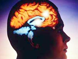 Человеческий мозг эволюционировал быстро в результате огромного количества мутаций
