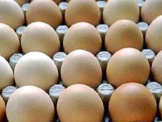 Поддельные куриные яйца обнаружены в продаже на рынках города Ханьдань в северокитайской провинции Хэбэй. Об этом сообщила сянганская газета "Дагун бао" со ссылкой на источники в комитете по сельскому хозяйству городского правительства Ханьданя