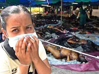 Список погибших в провинции Ачех в Индонезии, которая подверглась разрушительному воздействию цунами, может превысить 400 тысяч человек, при том, что во многие районы в этой провинции спасатели не могут добраться