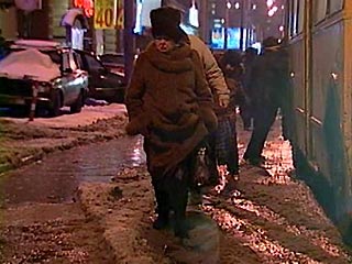 Оттепель в Москве продлится до середины января