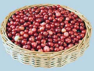 Радиоактивные ягоды были обнаружены во время предпродажной проверки сотрудниками лабораторий ветеринарно-санитарной экспертизы при рынках Москвы