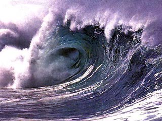 Общее число погибших в результате цунами превысило 228 тысяч человек