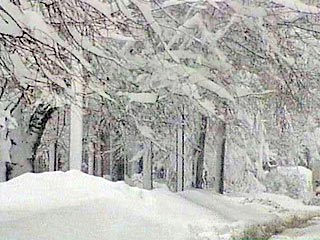 Как сообщили РИА "Новости" в управлении МЧС по Мурманской области, после полудня южный, юго-восточный ветер, сопровождавшийся сильным снегопадом, достигал 25-27 метров в секунду