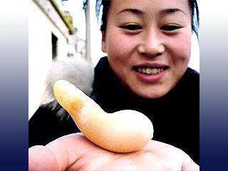 В Китае курица научилась нести яйца в форме ложки