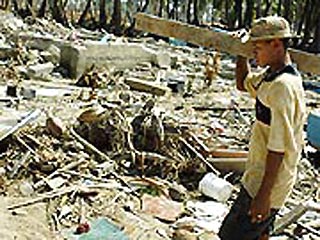 На Андаманских островах найдены девять выживших при цунами. Они 38 дней питались одними кокосами