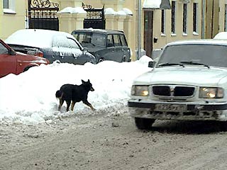 В Москве в пятницу сохранится морозная погода