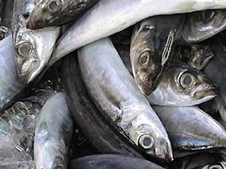 Россия запретила ввоз рыбы и разрешила импорт мяса птицы из Финляндии. Как сообщает пресс-служба Минсельхоза РФ, запрет введен на продукцию из акватории Аландских островов в связи с возникновением и распространением вирусной геморрагической септицемии рыб